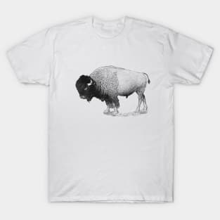 Bison T-Shirt